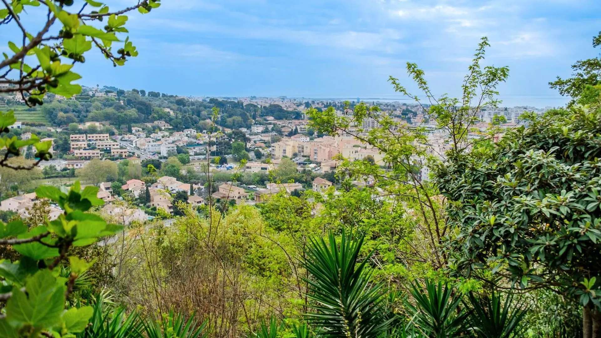 Le Matisse Apartment Cagnes-sur-Mer France